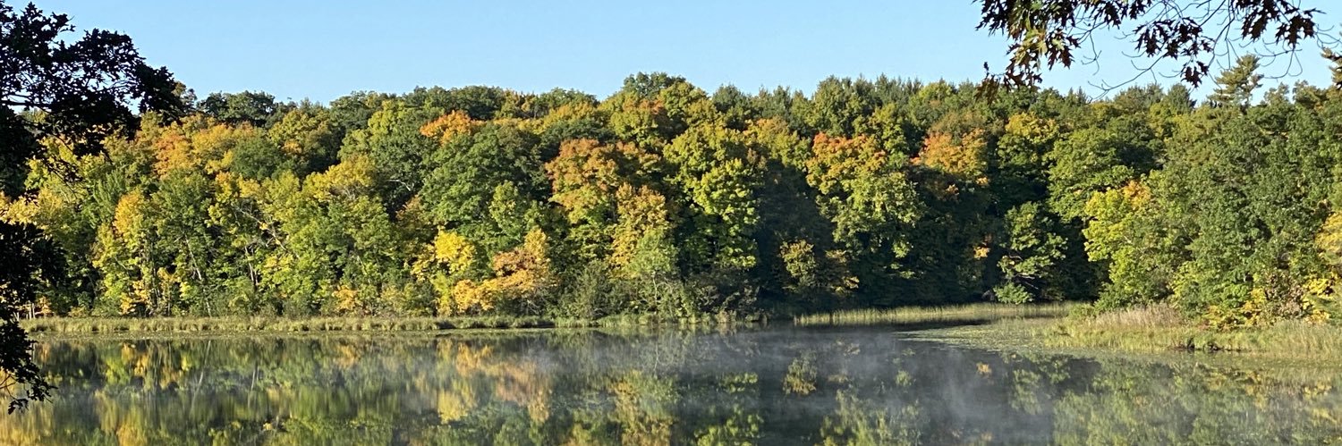 nanaulake's profile banner image
