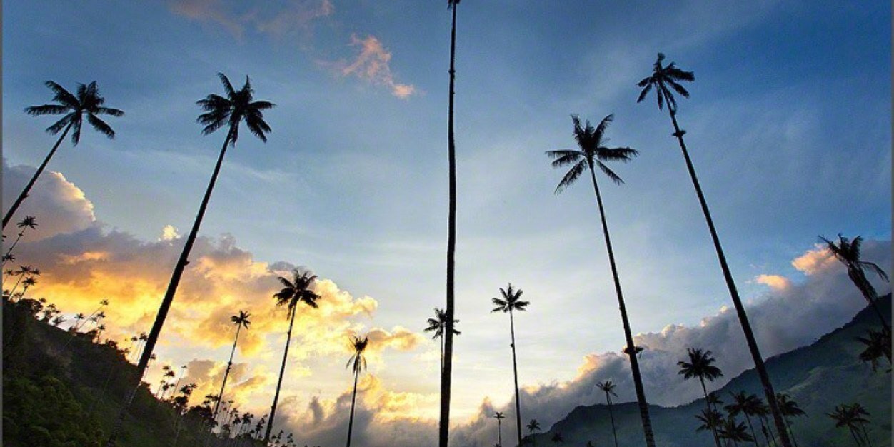 MsanchezVaron's profile banner image