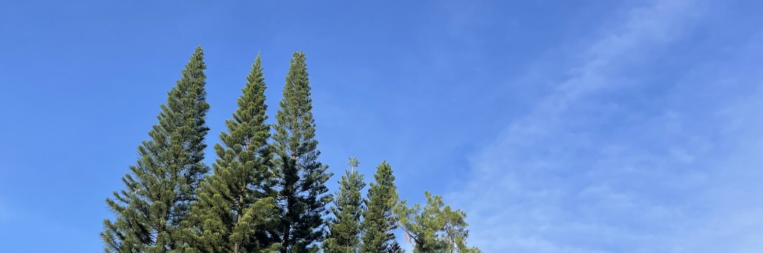 amandooy's profile banner image