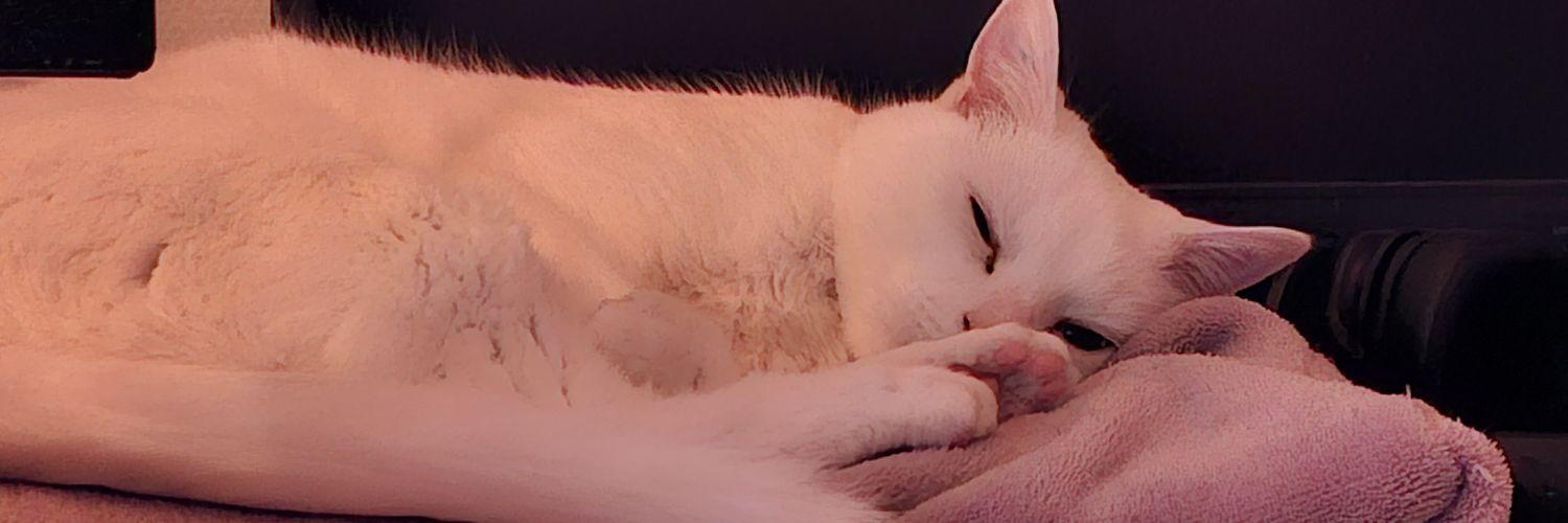 𓆩🌸𓆪 RoxyPaw 𓆩🌸𓆪 banner