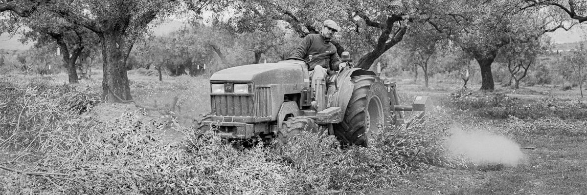 Àlex Vilanova Pla banner