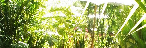 HackWellbeing's profile banner image