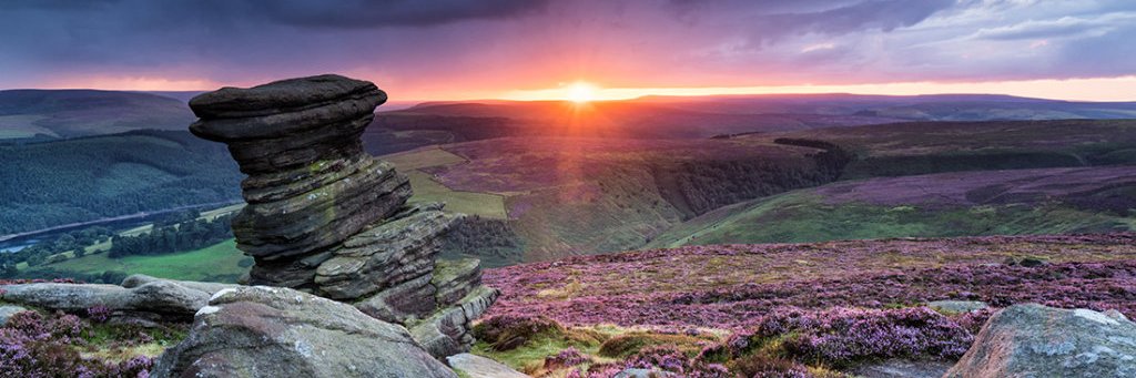 Dr Katarzyna Fleming banner