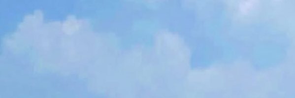 TINTINQLIZARDO's profile banner image