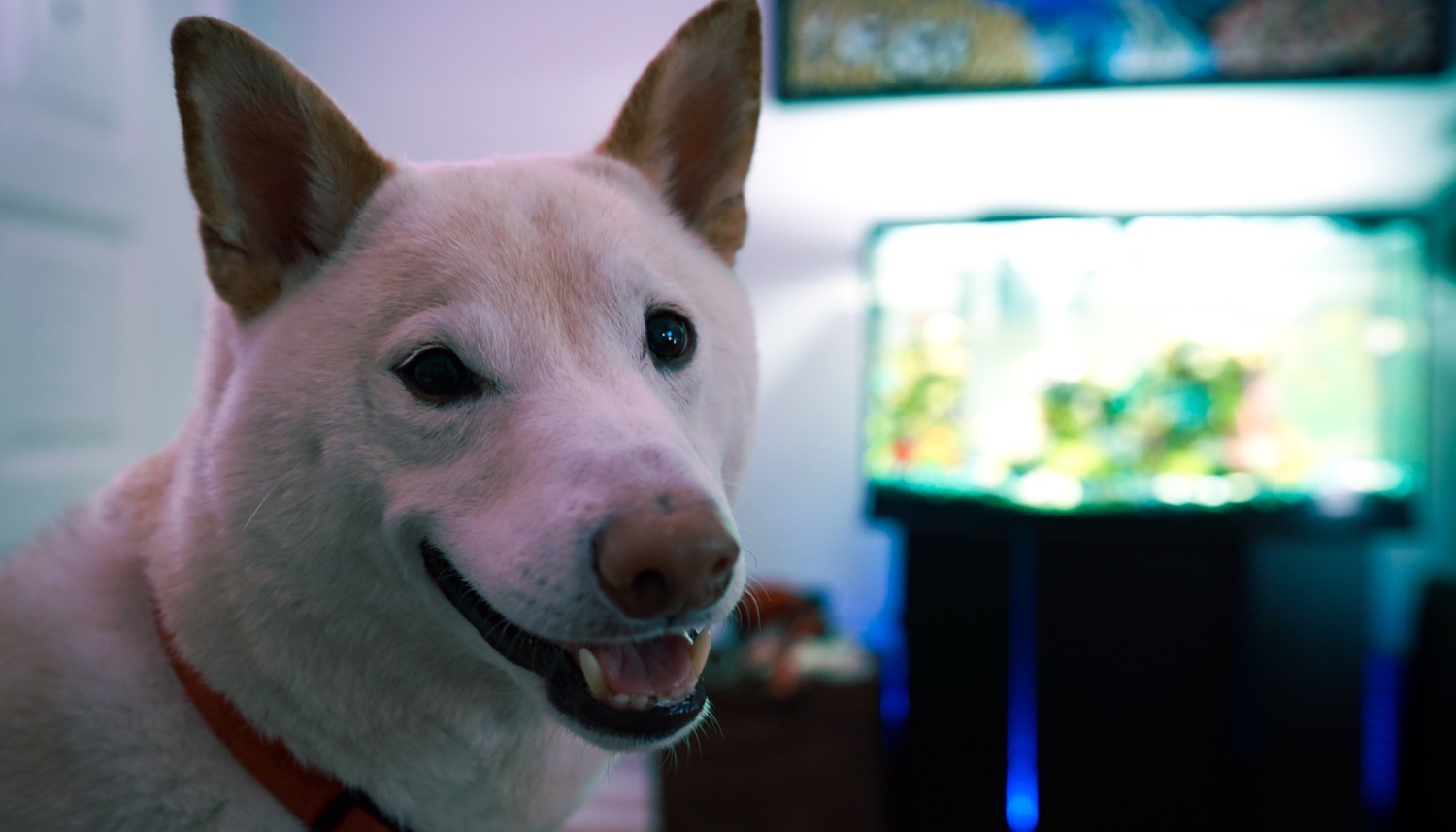 trizzlesauce's profile banner image