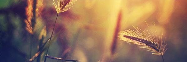 sharts_'s profile banner image