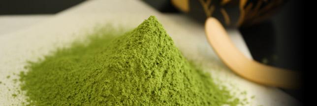 抹茶愛好会 banner