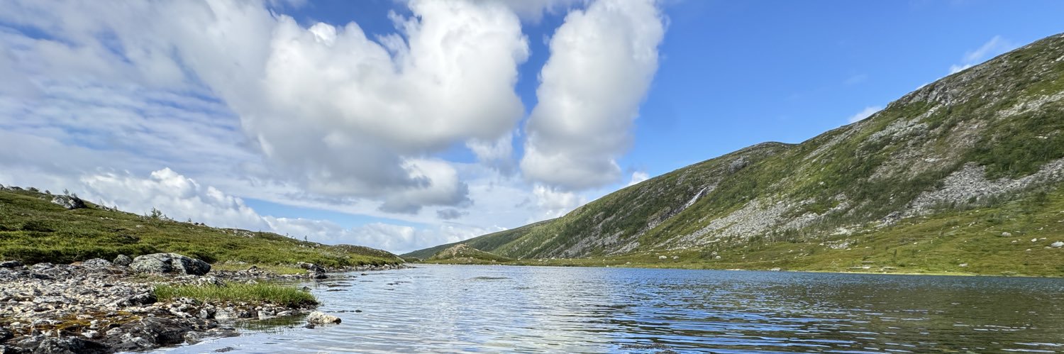 Frost 🇧🇷🇳🇿 banner