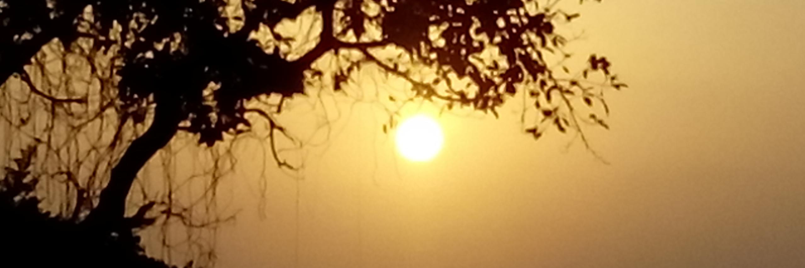 aditya773's profile banner image