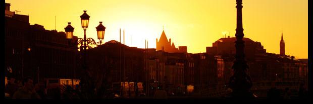 Sunflower Recycling banner
