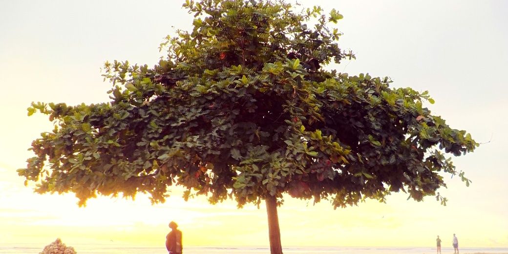 DeeJK23's profile banner image