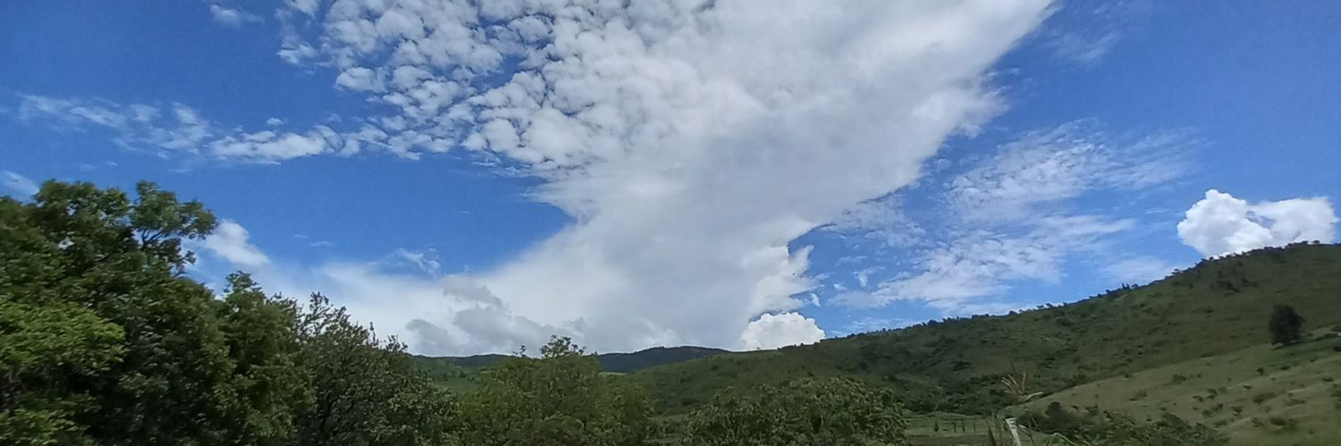 YukoBraithwaite's profile banner image