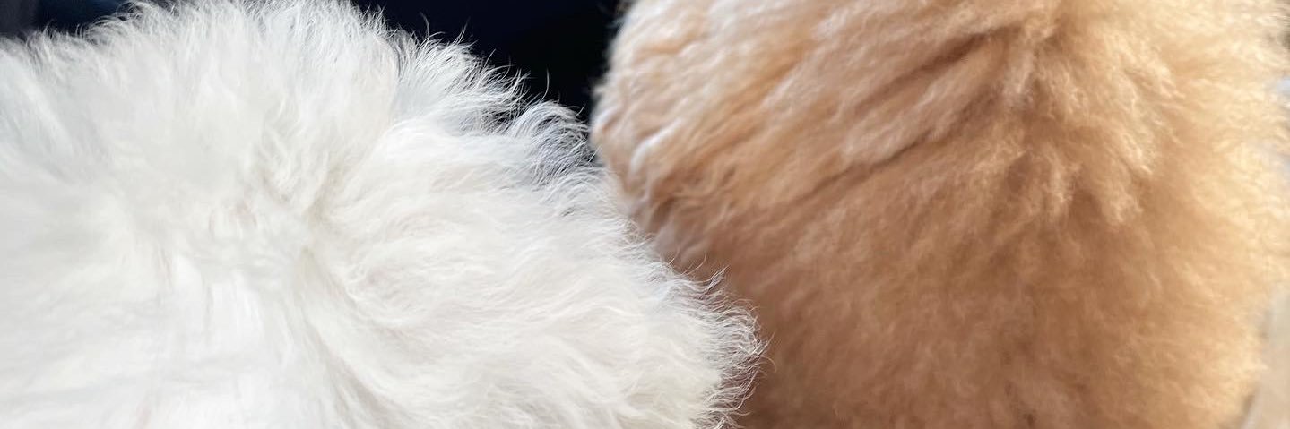 pei_____25's profile banner image