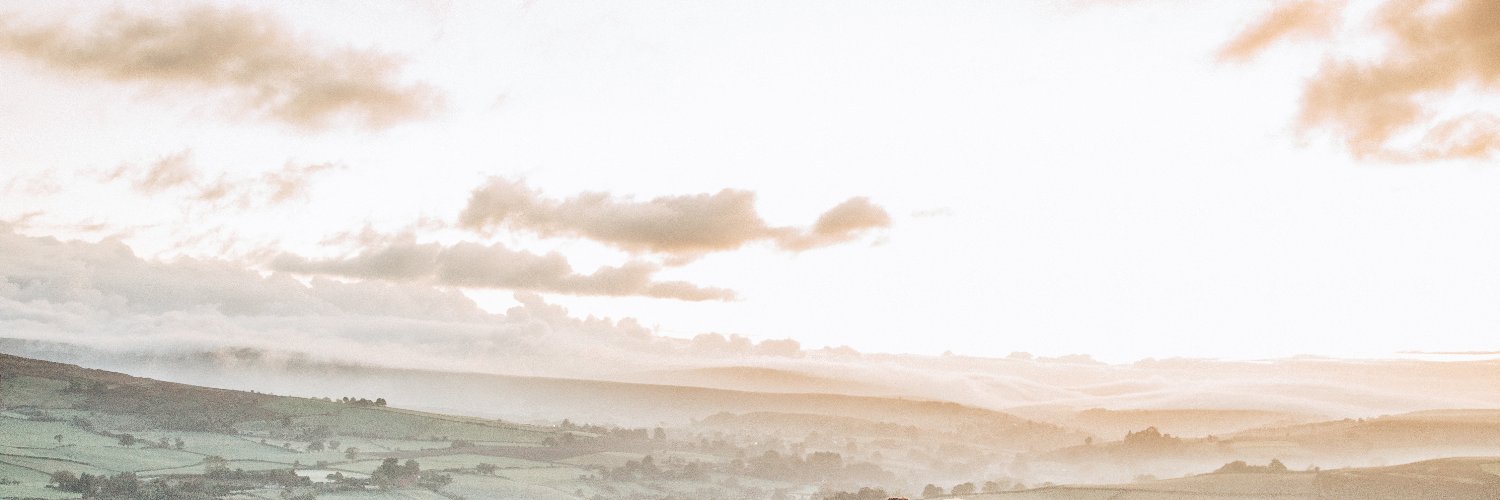 Steven Gibney banner