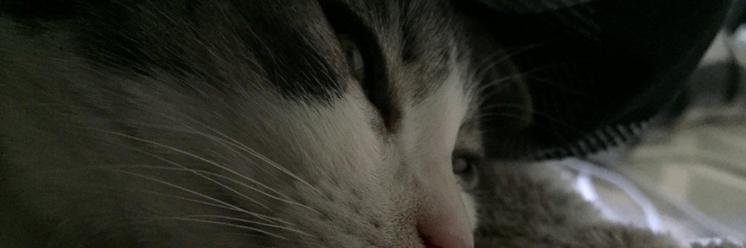 gakki1234's profile banner image