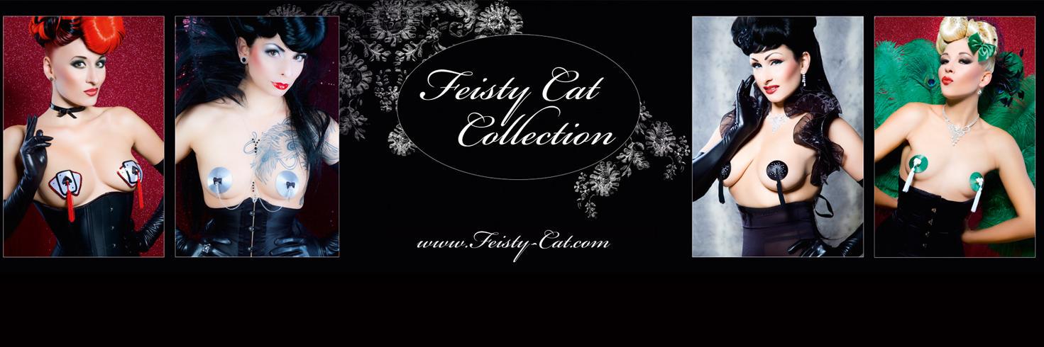 Feisty_Cat's profile banner image