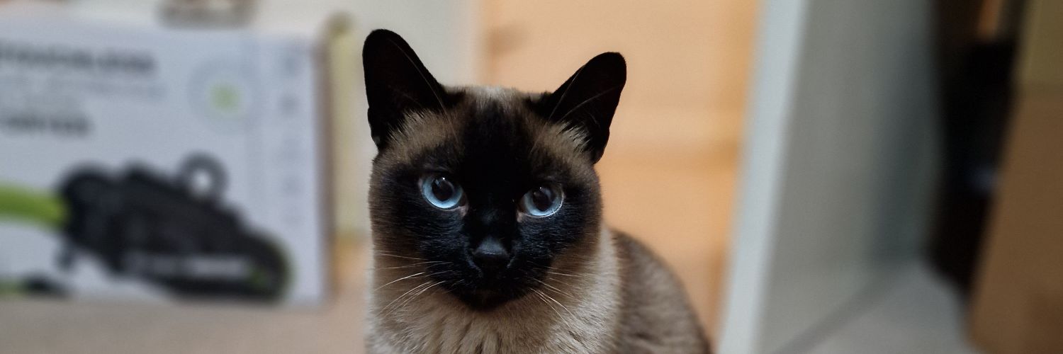pro_11's profile banner image