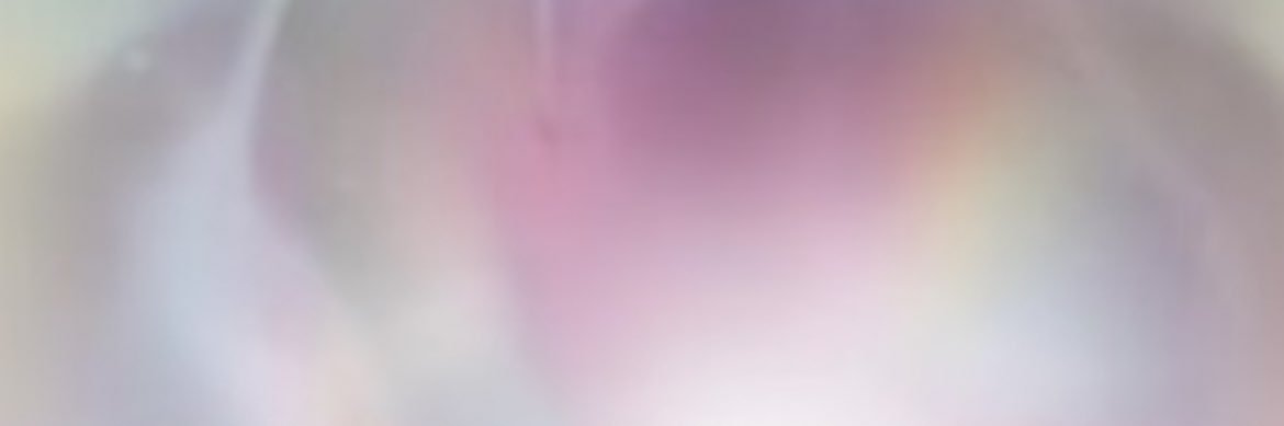 1b_yw's profile banner image