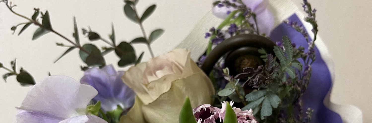 nirvana_ppp's profile banner image