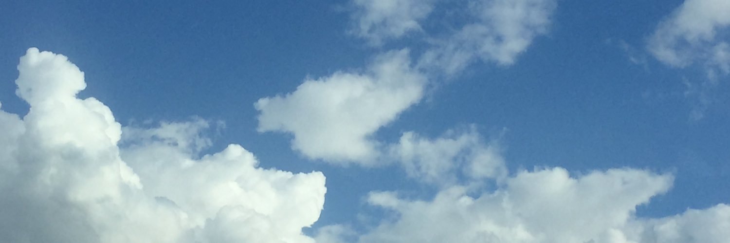 Martin Schulze Wessel banner