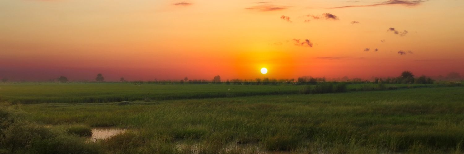 pg_hindu's profile banner image