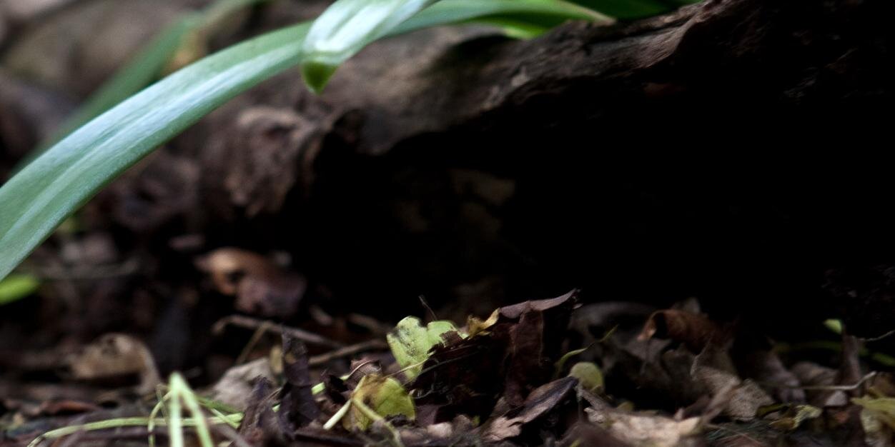 alexhel's profile banner image