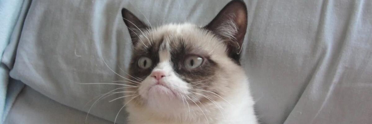JeyR__'s profile banner image