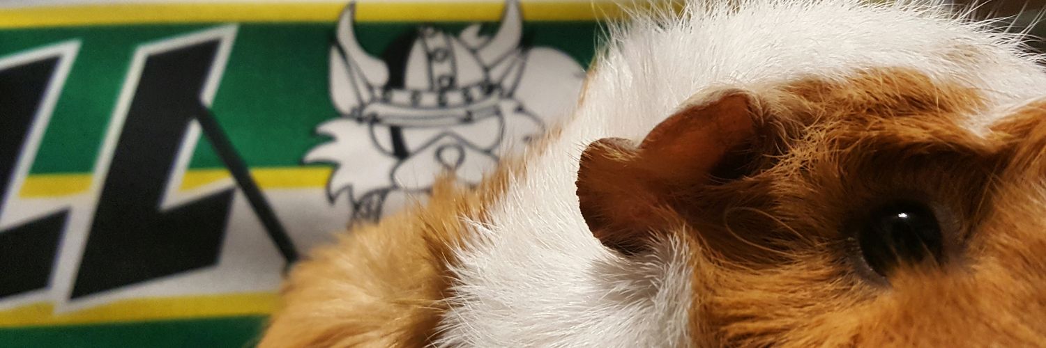 DavidDuran20's profile banner image