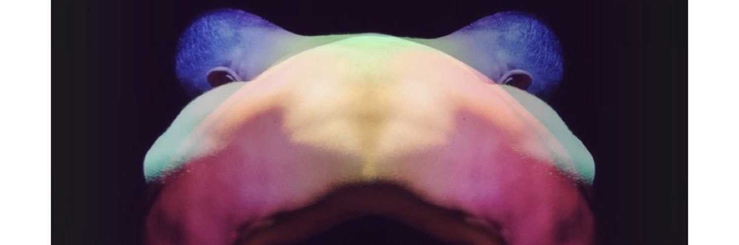Mi banner