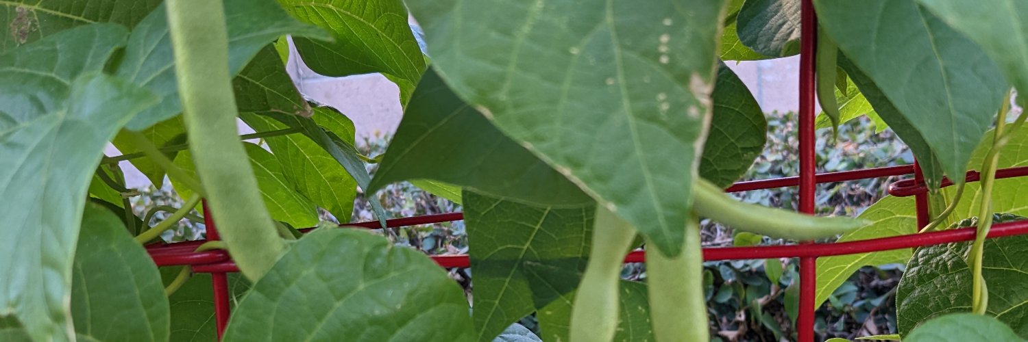 LoloYopp's profile banner image