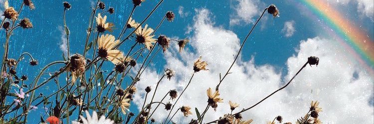brekate2's profile banner image