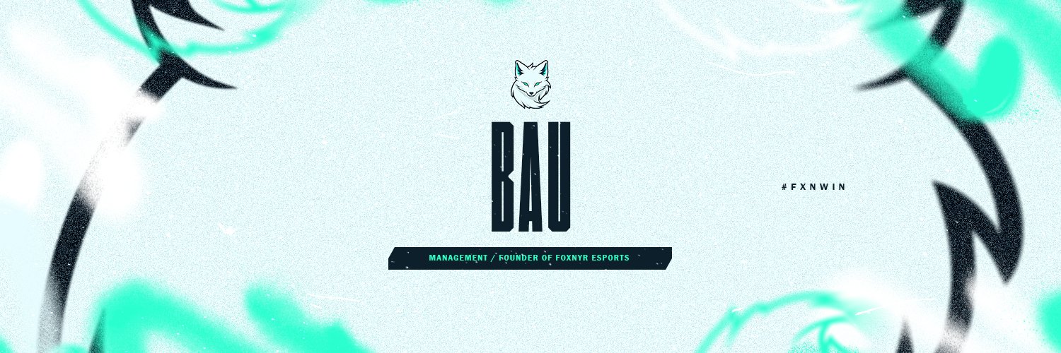 BauDevs's profile banner image