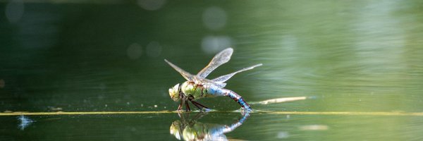 evil4dmin Profile Banner