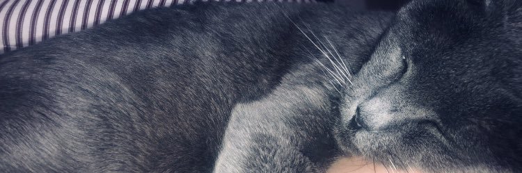 mackdinn's profile banner image