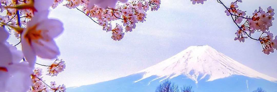 DiphokoT's profile banner image
