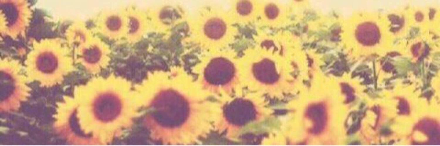 QQOOXXX's profile banner image