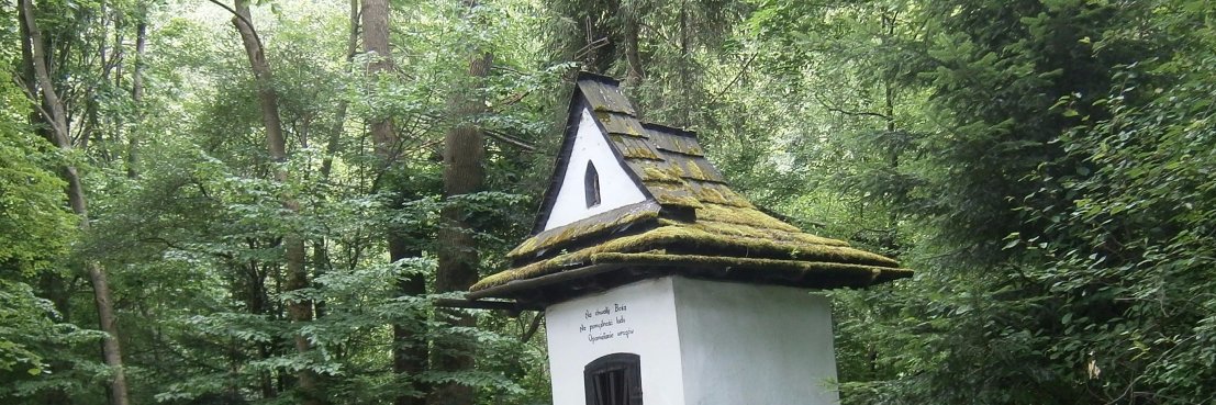 Jacek Wizimirski banner