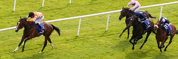 hpalmerracing's profile banner image