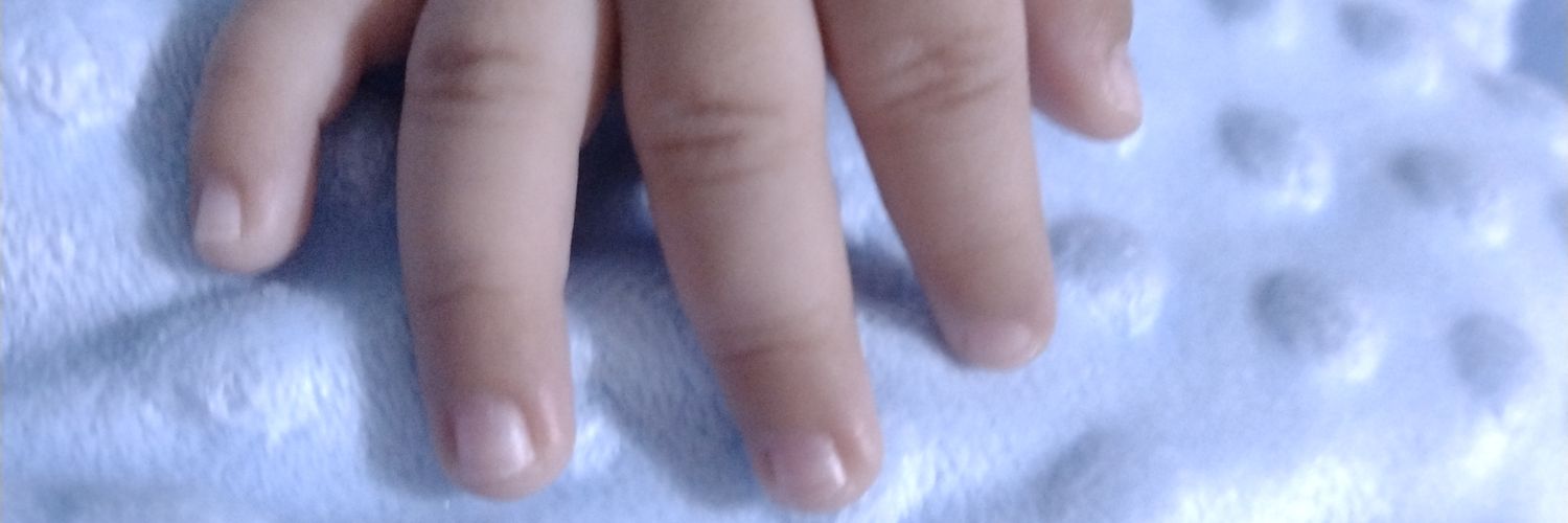 AdalidYedra's profile banner image