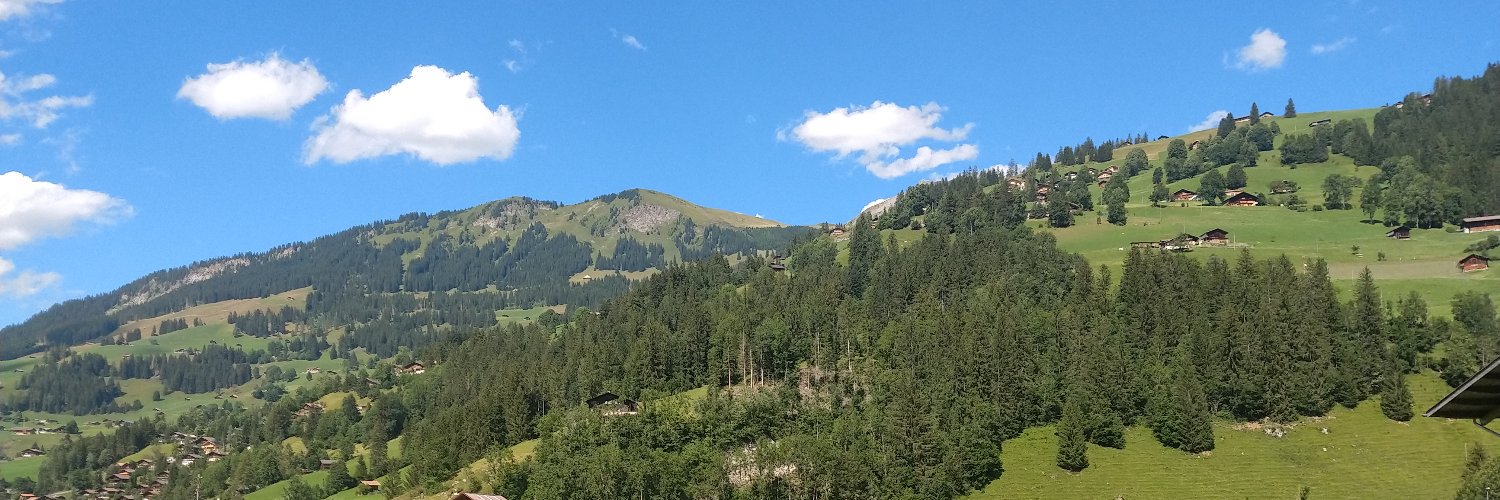 davilazampieri's profile banner image