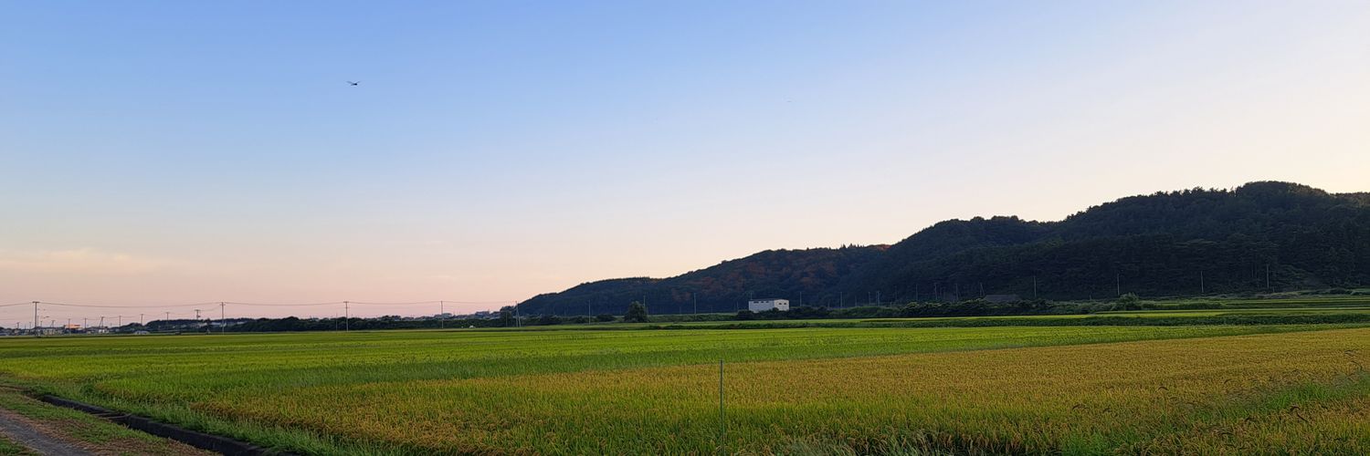 niningaC_Okome's profile banner image
