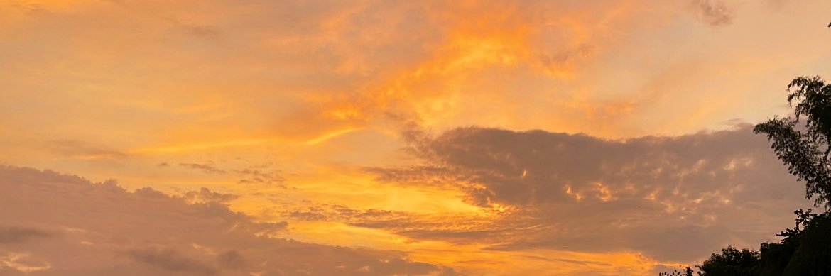 J ◡̈ 🌻 banner