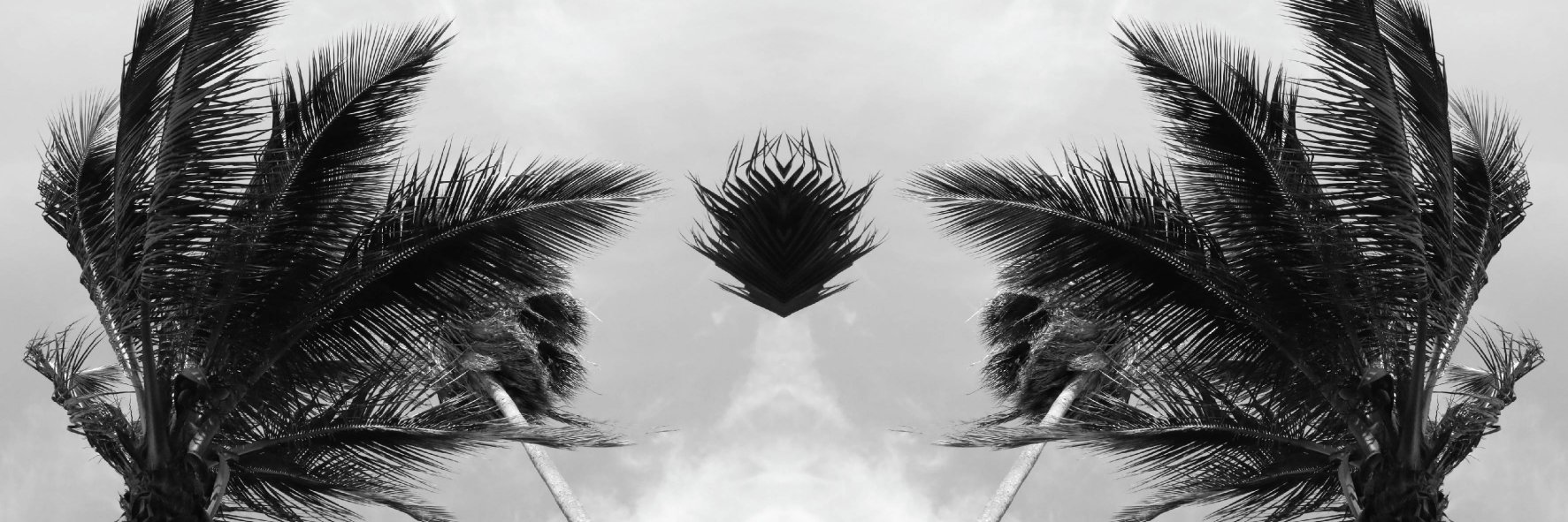 gmoMnmL's profile banner image