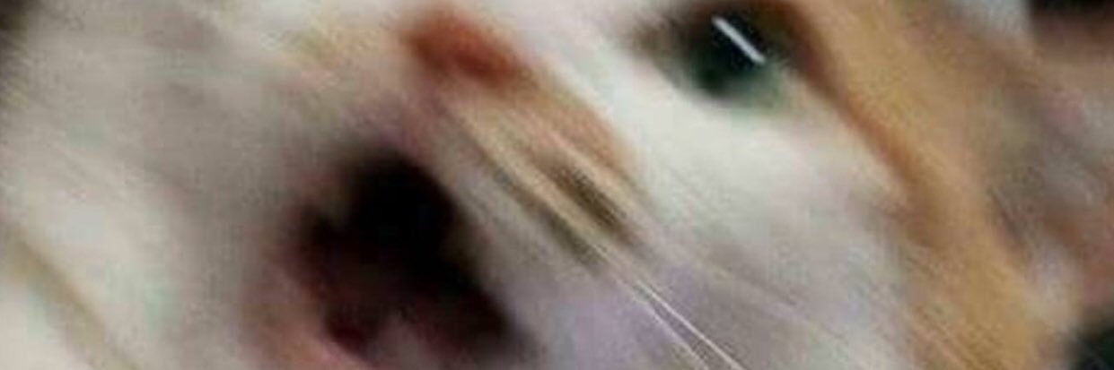 MrPixel135's profile banner image