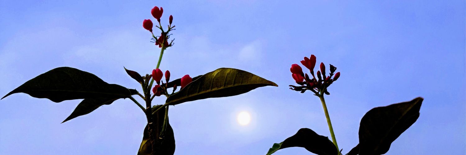 Hol_My_Beer's profile banner image