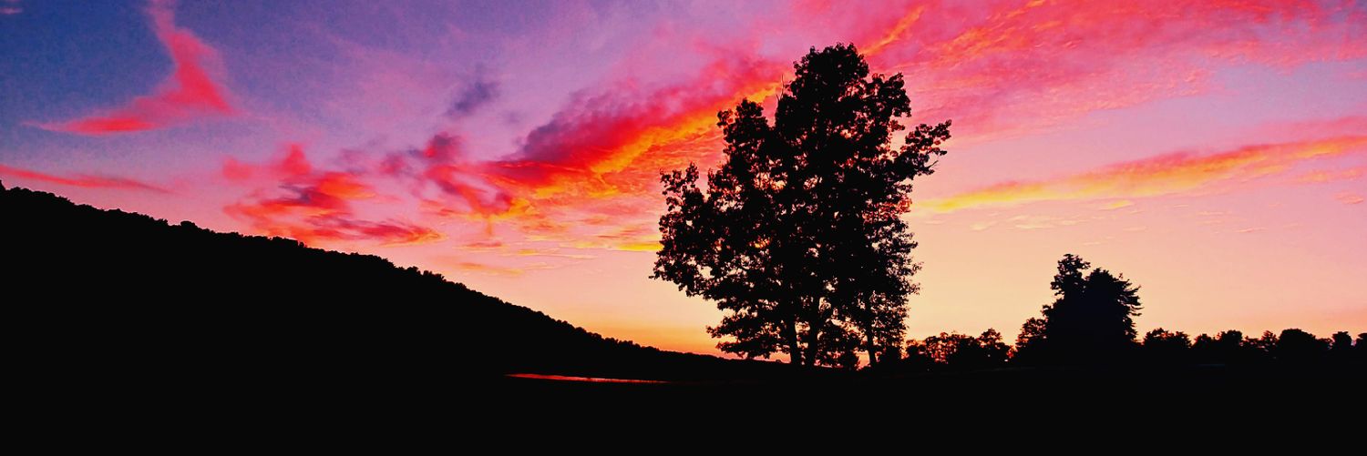 EmilyJPhotoDeco's profile banner image