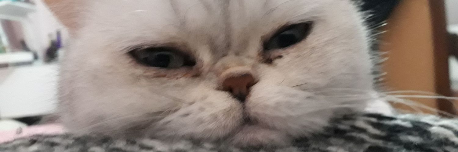 1hausmarke's profile banner image