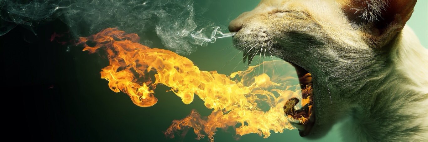 crazycatdorian's profile banner image