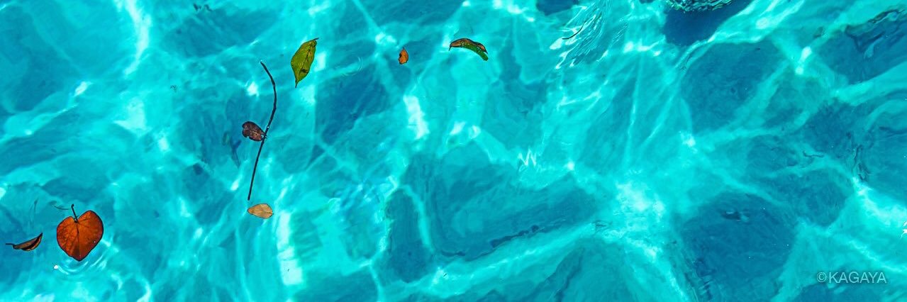 honoka_PATM's profile banner image