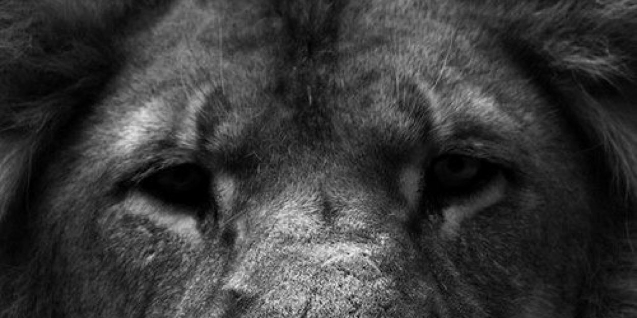EifRivera's profile banner image
